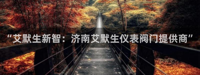 顺盈娱乐件究7276O