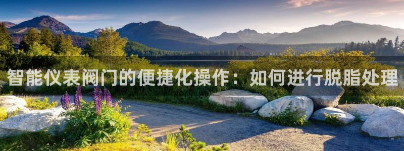 顺盈娱乐下载手机版
