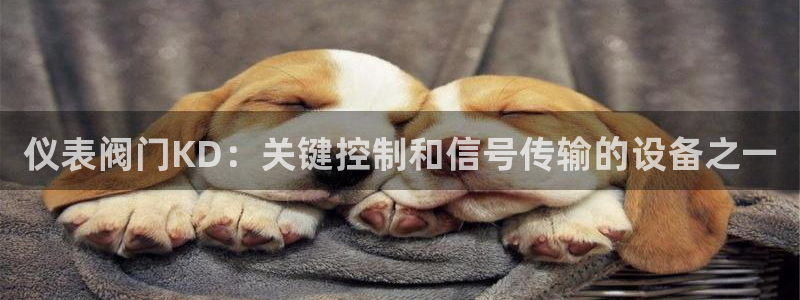 顺盈娱乐彩票官网下载
