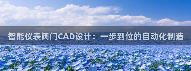 顺盈娱乐在线开户流程图