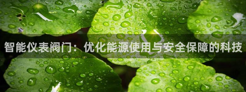 顺盈娱乐主管监判官333OO