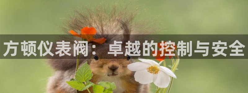顺盈娱乐如拔7276O