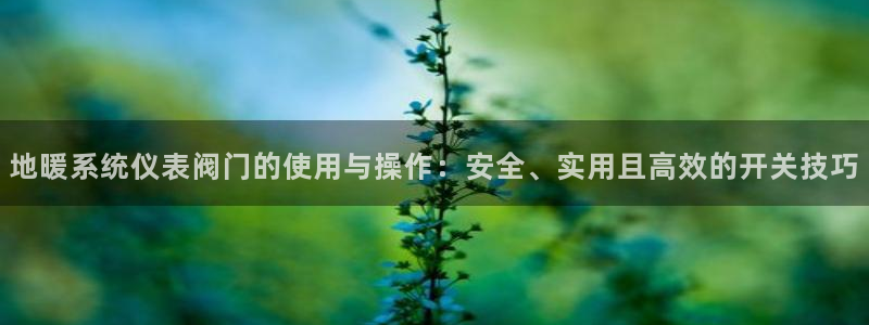 清远市顺盈广场谷哥娱乐ktv