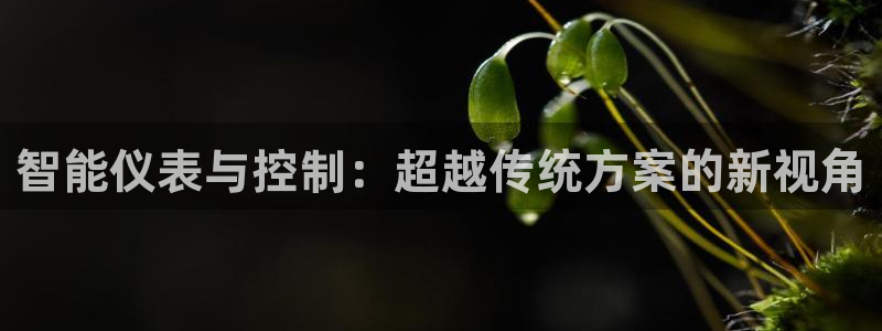 顺盈娱乐322901