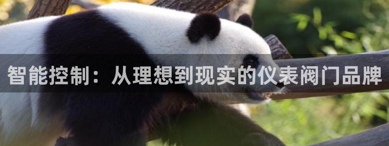 盈顺娱乐休闲室怎么样