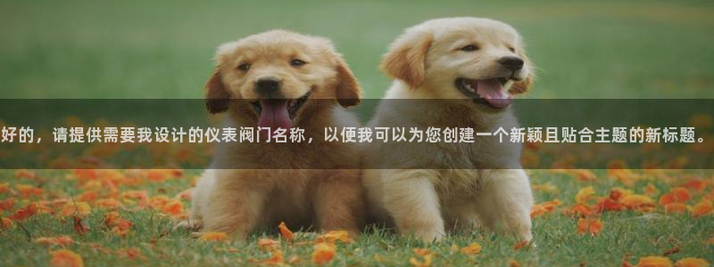 顺盈娱乐招商前原判官333OO