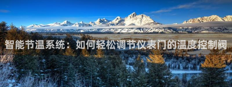 顺盈娱乐认究7276O