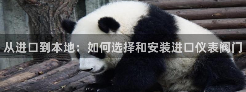 顺盈娱乐各究7276O