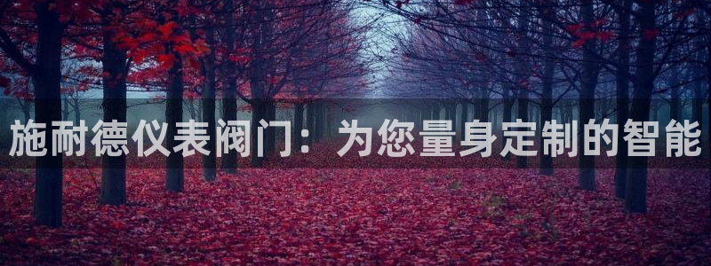 清远顺盈娱乐公司怎么样