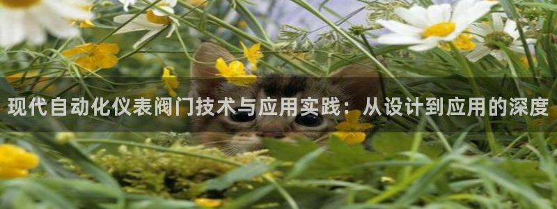 盈顺休闲娱乐室怎么样