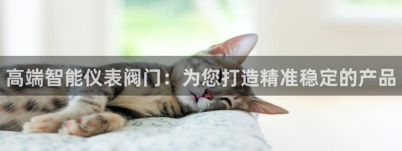 顺盈娱乐开户
