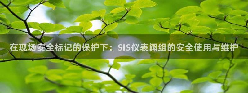 顺盈娱乐322901