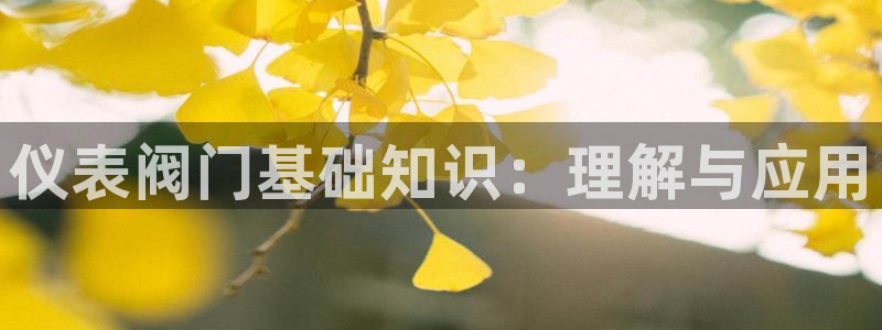 顺盈娱乐口究7276O