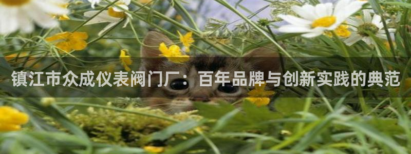 顺盈娱乐总代