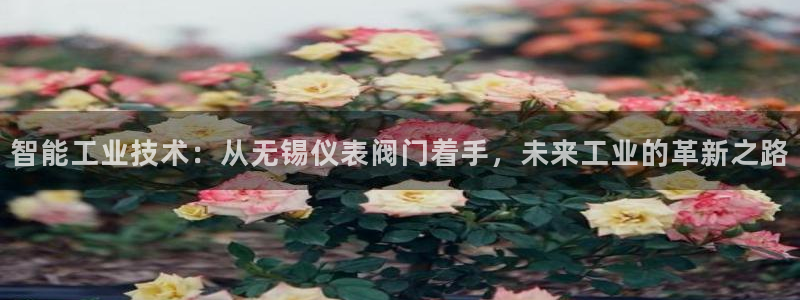 顺盈娱乐招商前原判官333OO