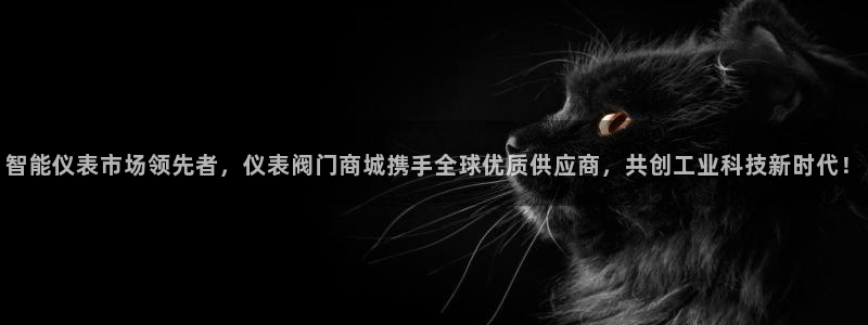 顺盈娱乐招商低判官333OO