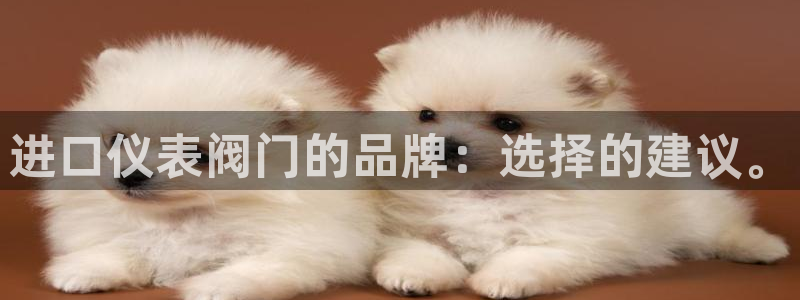 顺盈娱乐注册登录地址