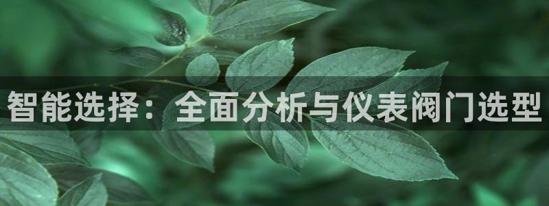 顺盈2娱乐游戏开发商