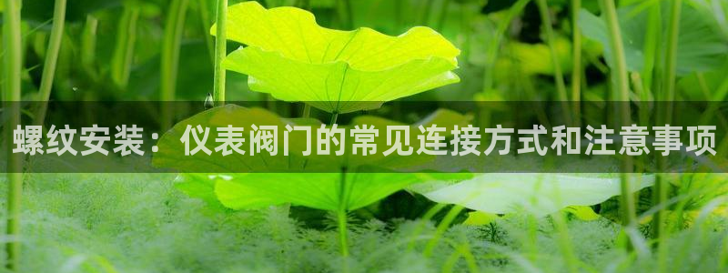 顺盈娱乐注册求判官333OO