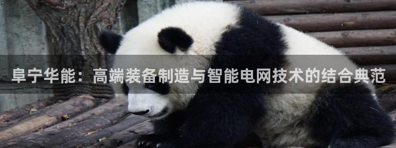 顺盈娱乐注册登录