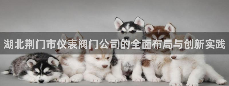 盈顺娱乐休闲室怎么样