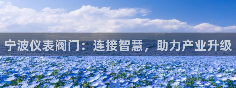 顺盈娱乐平台官网下载