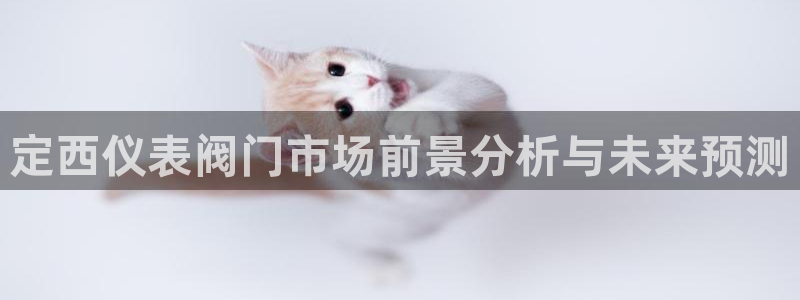 顺盈娱乐计究7276O