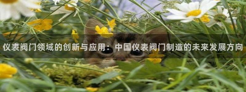 顺盈娱乐平台下载安装