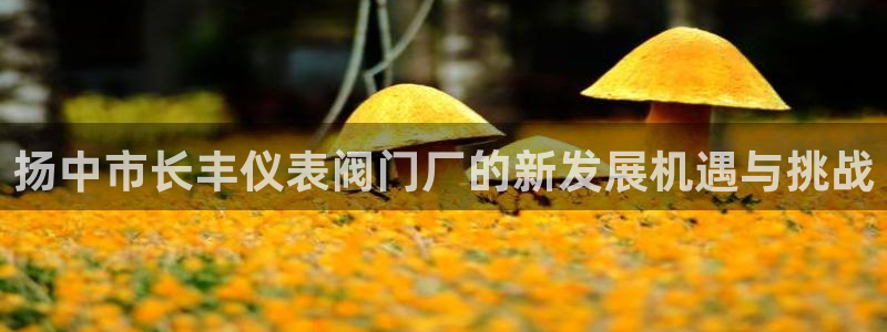 顺盈有什么娱乐场所