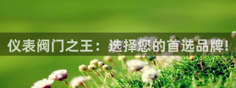 顺盈娱乐28是什么意思