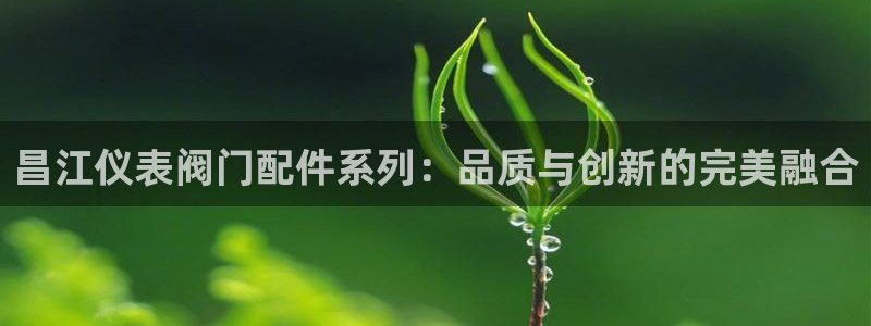 顺盈2娱乐游戏开发商