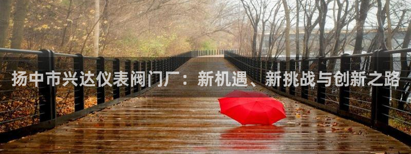 顺盈娱乐彩票官网