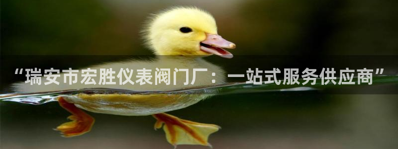 顺盈娱乐棋牌官网