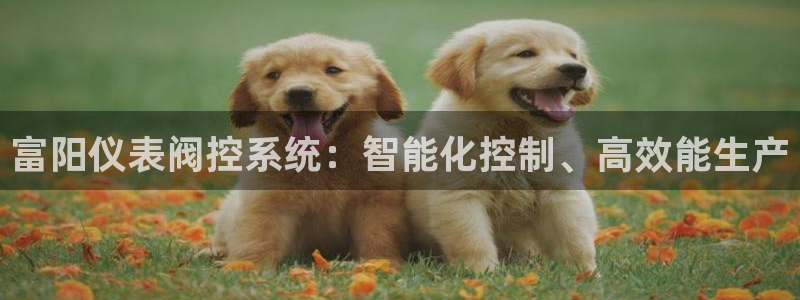 顺盈娱乐是什么意思