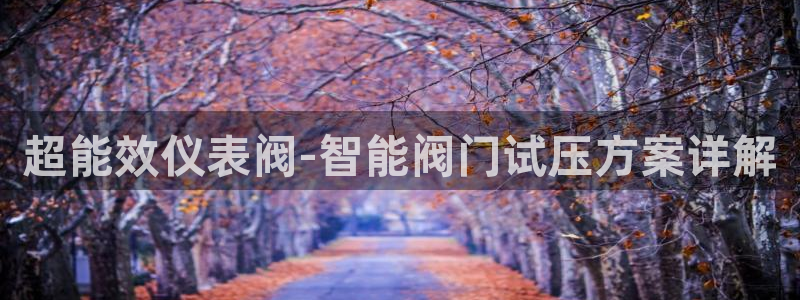 顺盈娱乐推344k.com