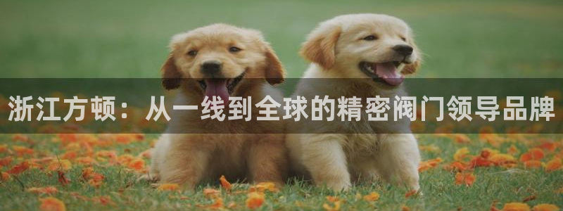 顺盈娱乐代理怎么样啊