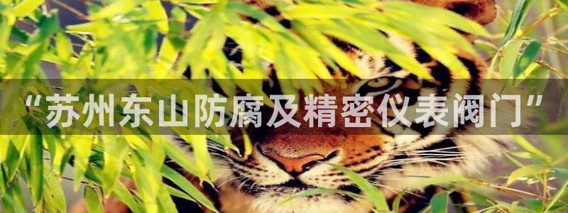 盈顺休闲娱乐室优惠活动