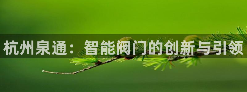 顺盈娱乐主管怎么样