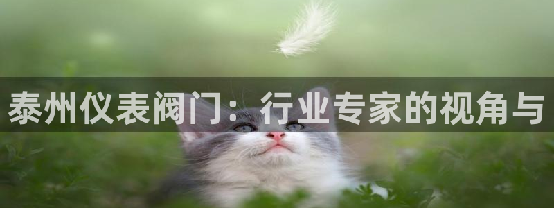 顺盈娱乐那家公司旗下