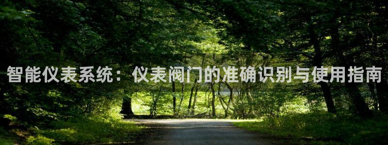 顺盈娱乐李333OO