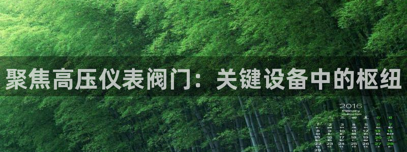 顺盈娱乐在线注册网址