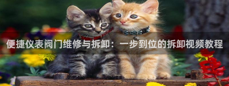 顺盈百威美食娱乐广场