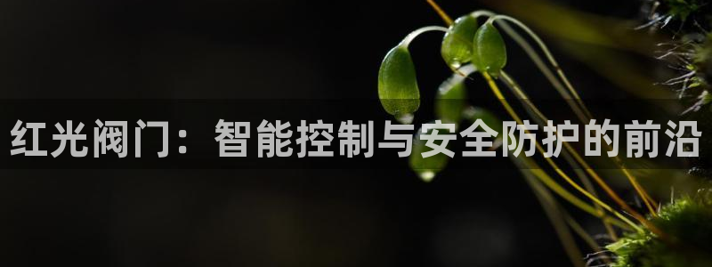 顺盈娱乐登录地址在哪