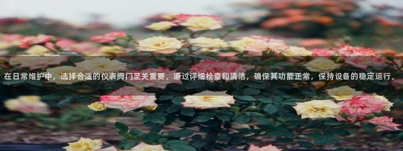 清远顺盈娱乐集团地址