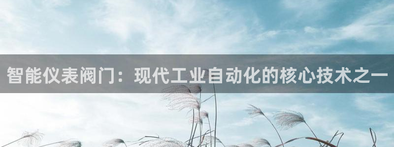 盈顺娱乐休闲室怎么样