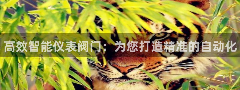 顺盈娱乐下载官网最新版