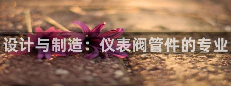 顺盈娱乐在线开户怎么样