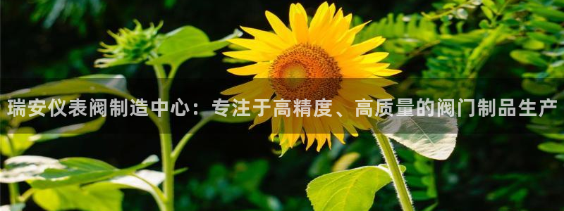 顺盈娱乐下载安装
