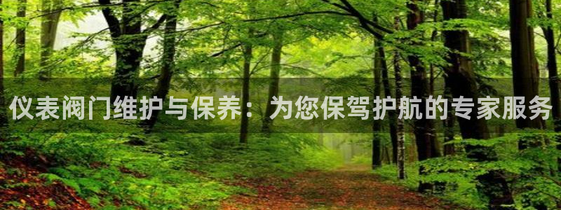 顺盈娱乐平台官网