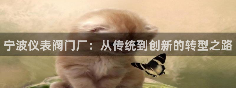 顺盈娱乐主管是谁